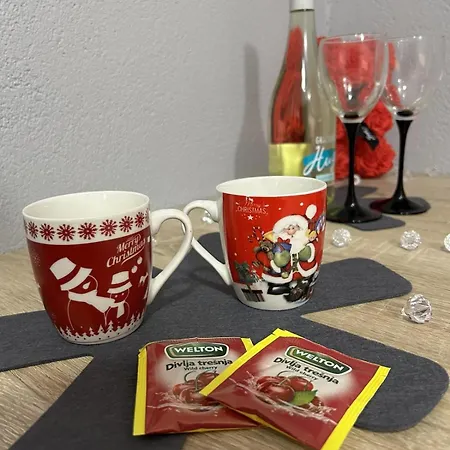 Apartment Stan Na Dan Ninic *